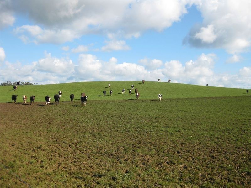 150 Cyathea Road, Forest TAS 7330