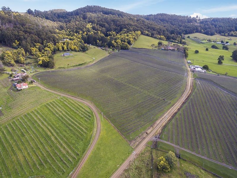 22-32 Crowthers Road, Castle Forbes Bay TAS 7116