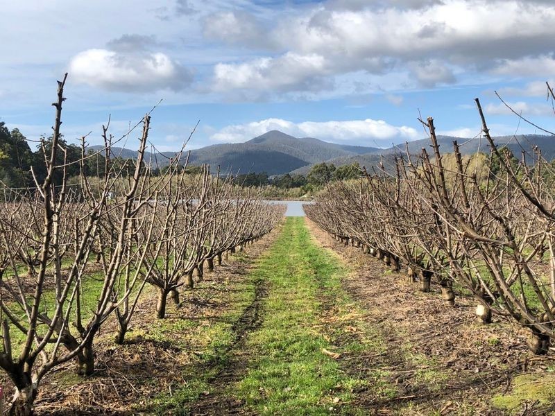 22-32 Crowthers Road, Castle Forbes Bay TAS 7116