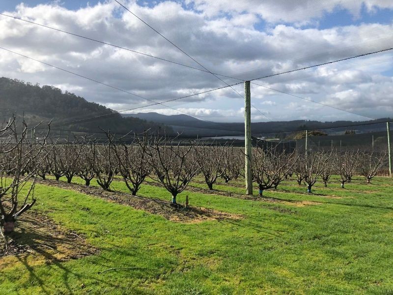 22-32 Crowthers Road, Castle Forbes Bay TAS 7116