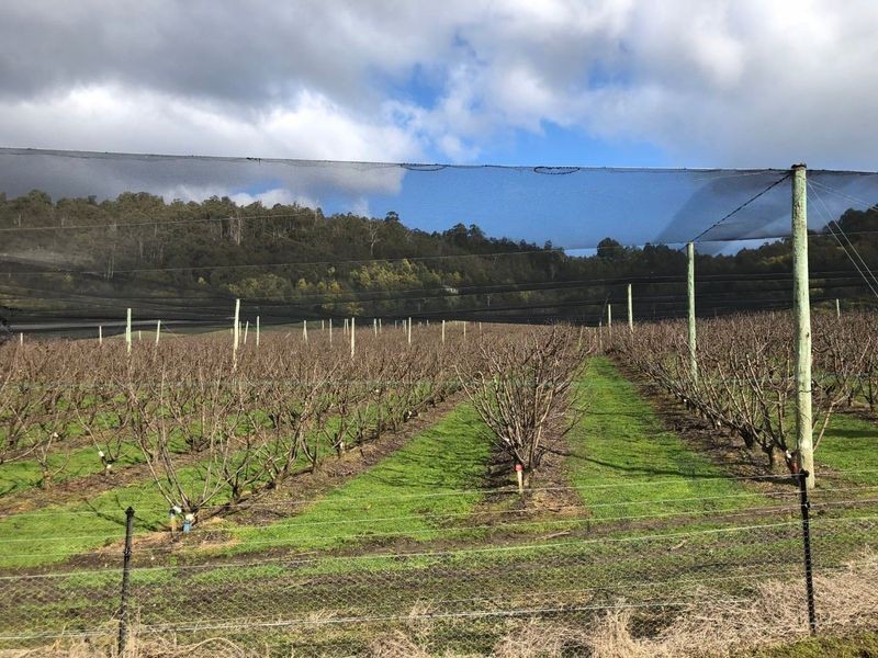 22-32 Crowthers Road, Castle Forbes Bay TAS 7116