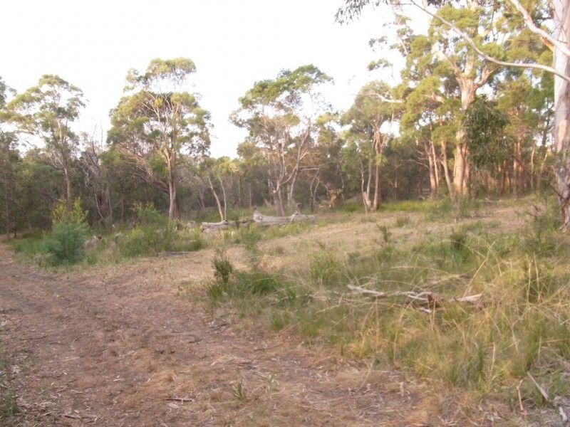 Lot 100 Suncoast Drive, Bicheno TAS 7215