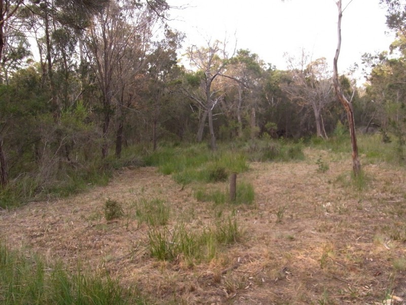 Lot 100 Suncoast Drive, Bicheno TAS 7215