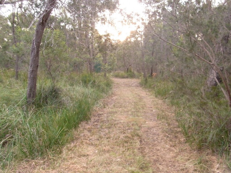 Lot 100 Suncoast Drive, Bicheno TAS 7215