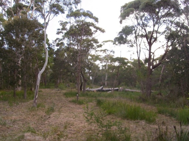 Lot 100 Suncoast Drive, Bicheno TAS 7215