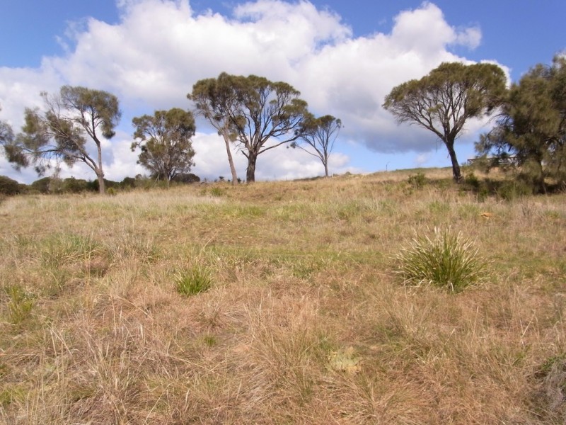 Lot 202 Tasman Hwy, Swansea TAS 7190