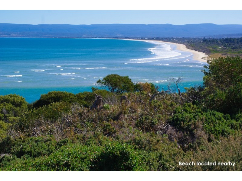 46 Hazards View Drive, Coles Bay TAS 7215