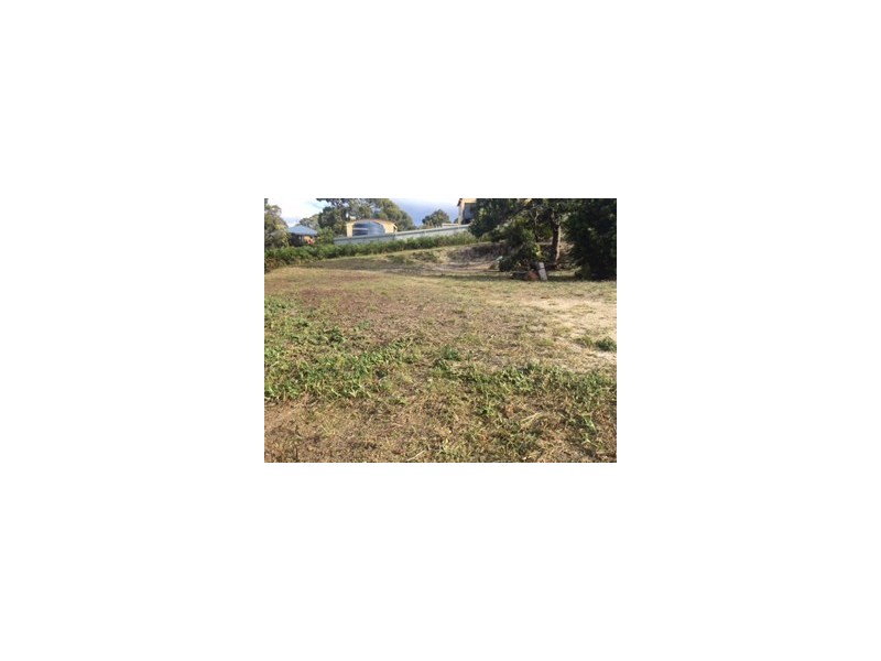46 Hazards View Drive, Coles Bay TAS 7215
