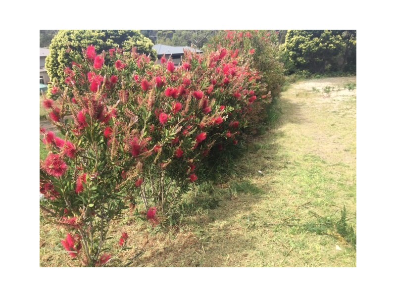 46 Hazards View Drive, Coles Bay TAS 7215