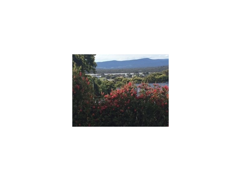 46 Hazards View Drive, Coles Bay TAS 7215