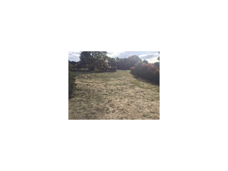 46 Hazards View Drive, Coles Bay TAS 7215