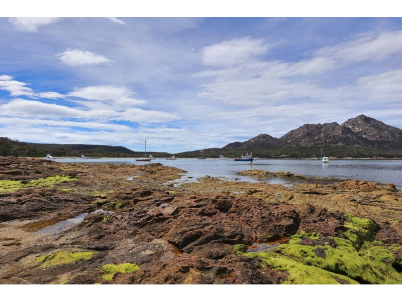 7 Florence Street, Coles Bay TAS 7215