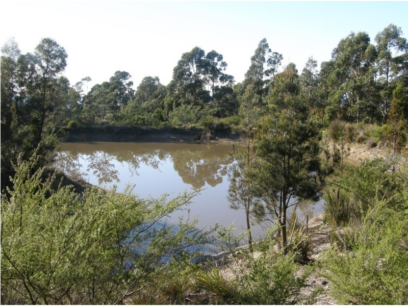 21175 Tasman Highway, Four Mile Creek TAS 7215