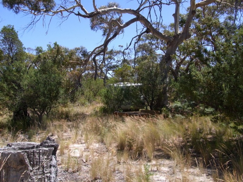 1181 Dolphin Sands Road, Dolphin Sands TAS 7190