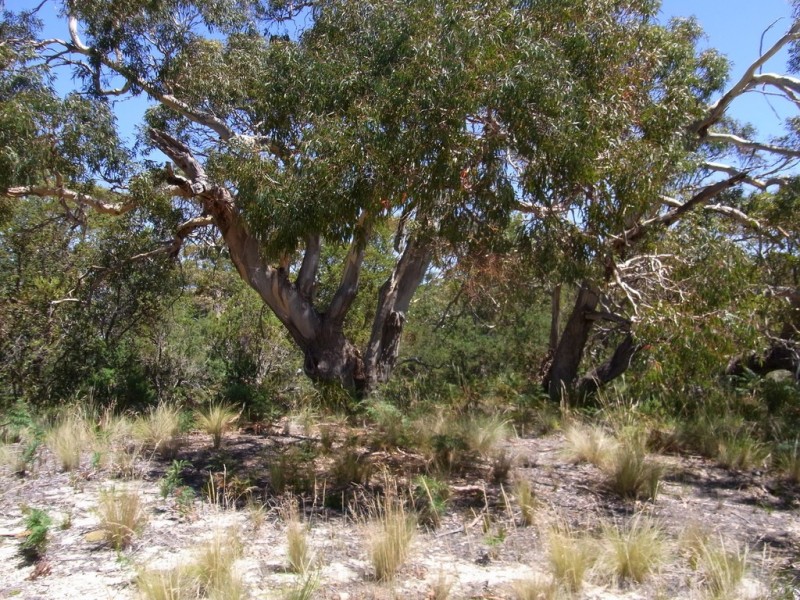 1181 Dolphin Sands Road, Dolphin Sands TAS 7190