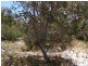 1181 Dolphin Sands Road, Dolphin Sands TAS 7190