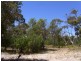 1181 Dolphin Sands Road, Dolphin Sands TAS 7190