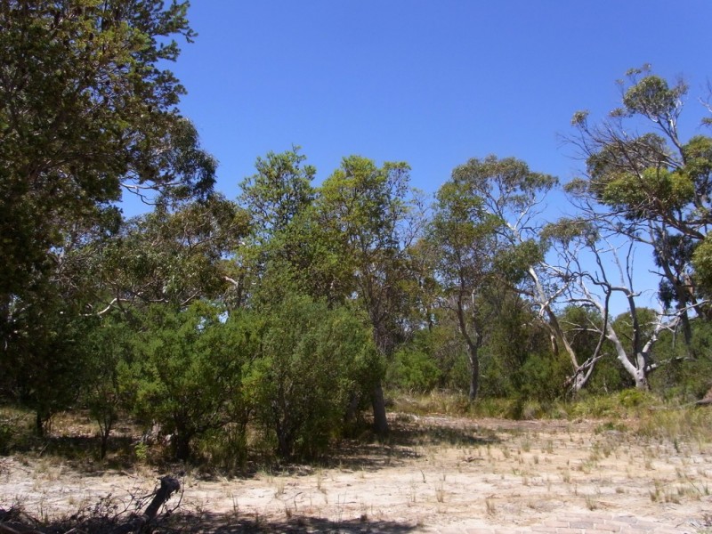 1181 Dolphin Sands Road, Dolphin Sands TAS 7190