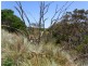 1181 Dolphin Sands Road, Dolphin Sands TAS 7190