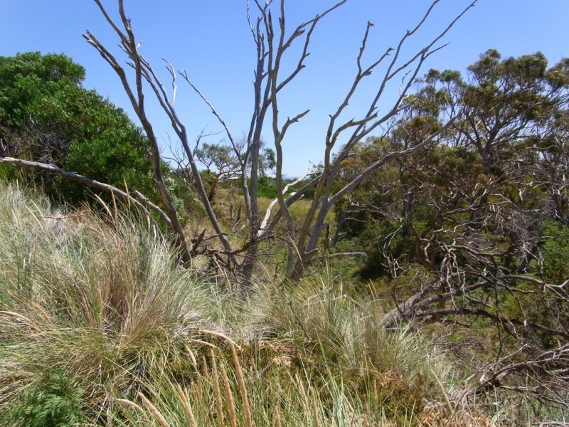 1181 Dolphin Sands Road, Dolphin Sands TAS 7190