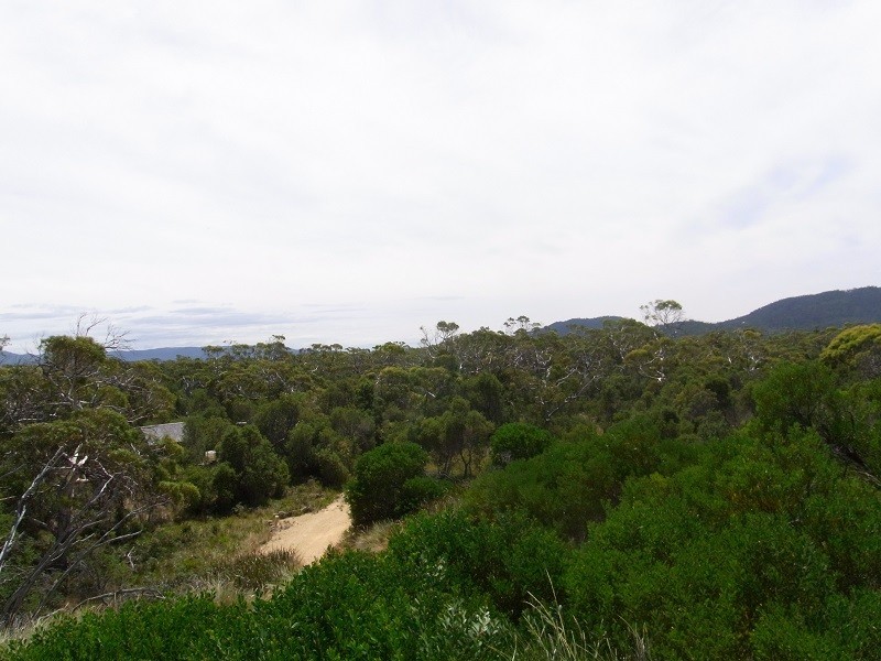 1181 Dolphin Sands Road, Dolphin Sands TAS 7190