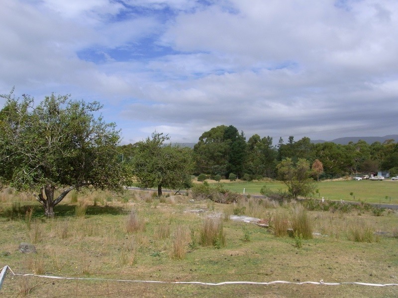 1 Lennox Street, Cornwall TAS 7215