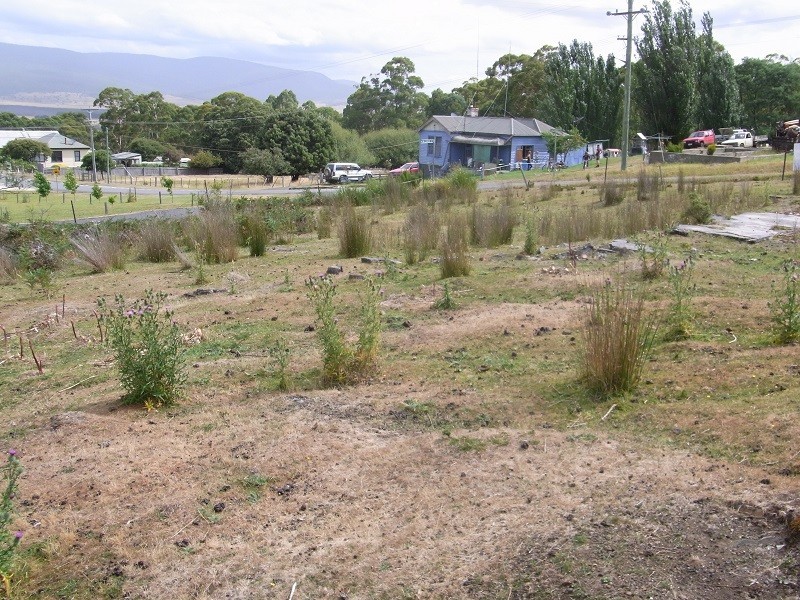 1 Lennox Street, Cornwall TAS 7215