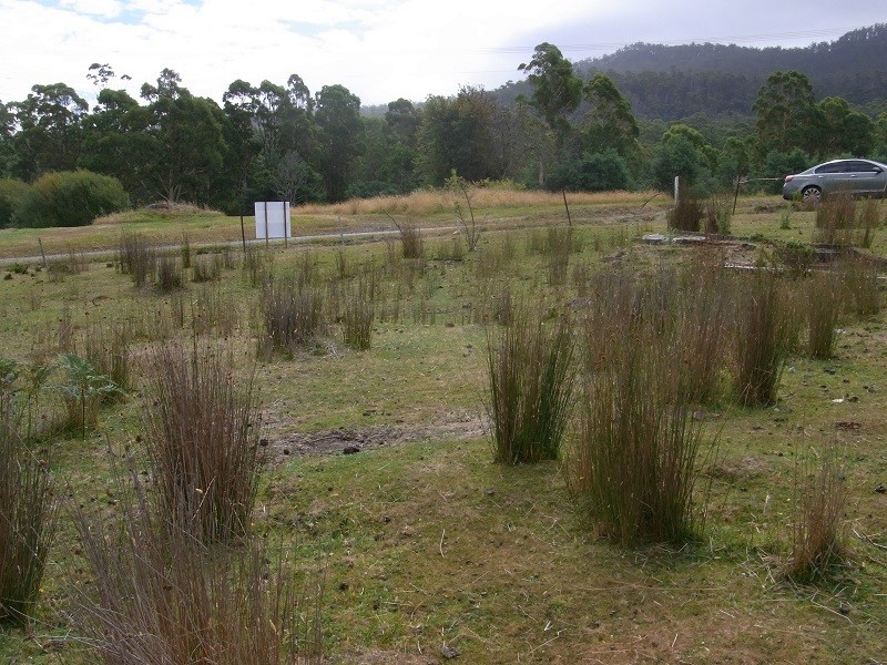 1 Lennox Street, Cornwall TAS 7215