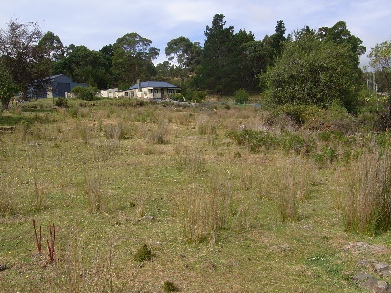 1 Lennox Street, Cornwall TAS 7215