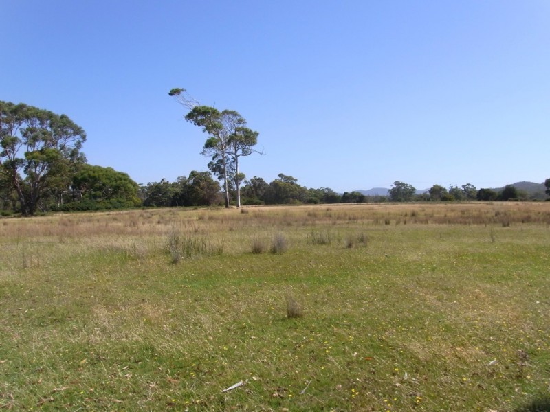 Lot 5 Tasman Highway, Bicheno TAS 7215