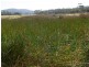 Lot 5 Tasman Highway, Bicheno TAS 7215