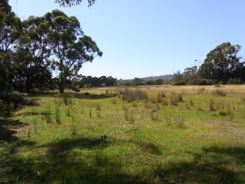 Lot 5 Tasman Highway, Bicheno TAS 7215