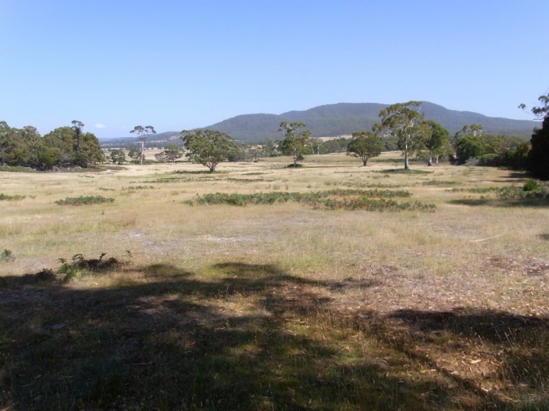 Lot 5 Tasman Highway, Bicheno TAS 7215