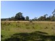 Lot 5 Tasman Highway, Bicheno TAS 7215