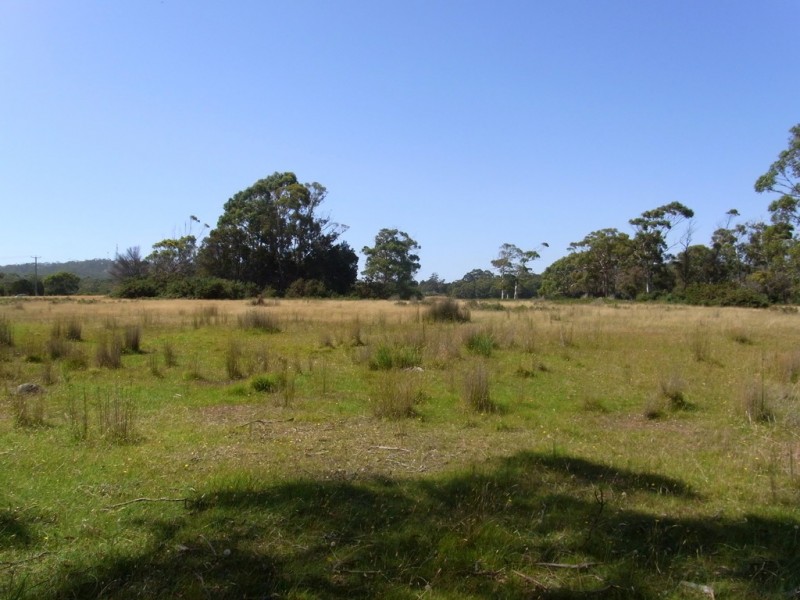 Lot 5 Tasman Highway, Bicheno TAS 7215