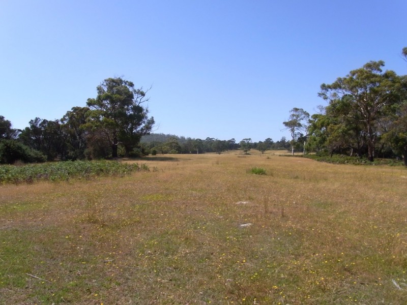 Lot 5 Tasman Highway, Bicheno TAS 7215