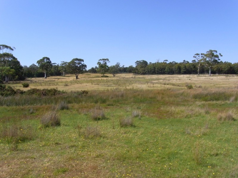 Lot 5 Tasman Highway, Bicheno TAS 7215
