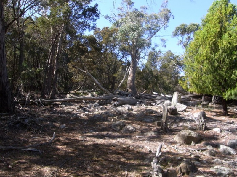 Lot 5 Tasman Highway, Bicheno TAS 7215