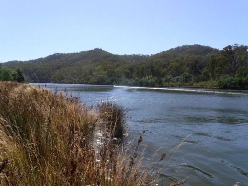 408 Upper Scamander Road, Scamander TAS 7215