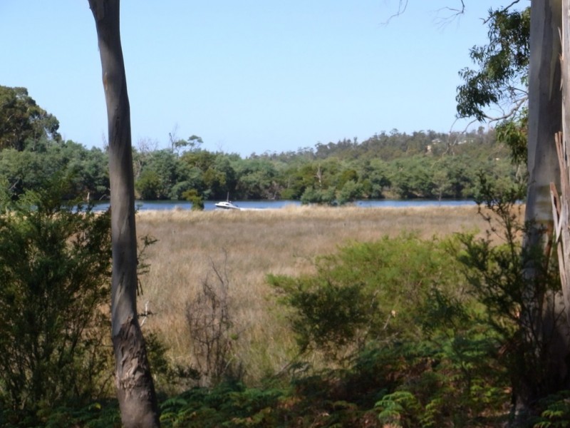 408 Upper Scamander Road, Scamander TAS 7215