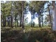 408 Upper Scamander Road, Scamander TAS 7215