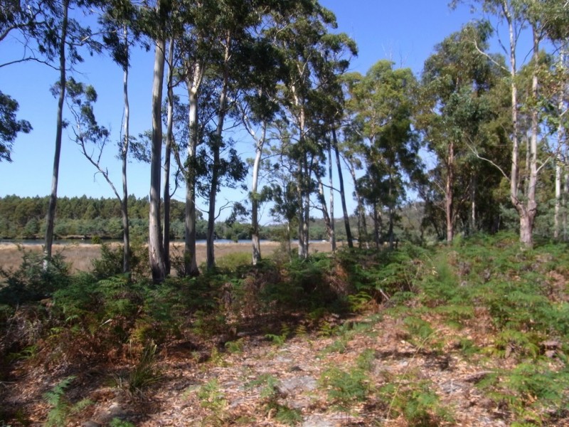 408 Upper Scamander Road, Scamander TAS 7215