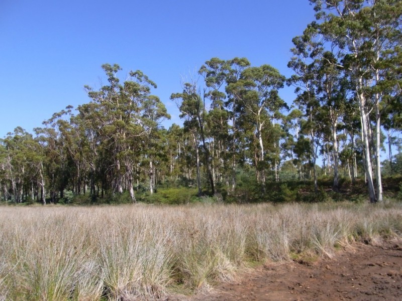 408 Upper Scamander Road, Scamander TAS 7215