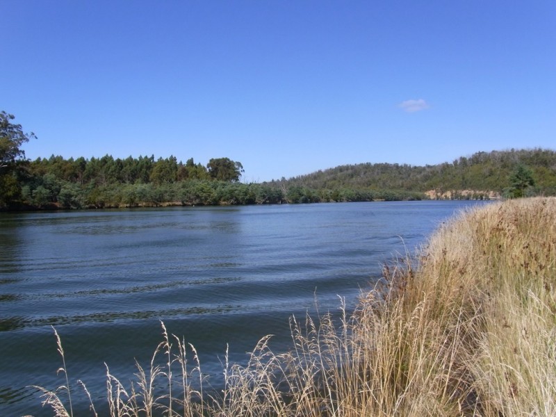 408 Upper Scamander Road, Scamander TAS 7215