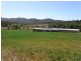 501 Upper Scamander Rd, Scamander TAS 7215