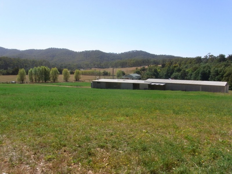 501 Upper Scamander Rd, Scamander TAS 7215