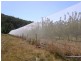 501 Upper Scamander Rd, Scamander TAS 7215