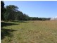501 Upper Scamander Rd, Scamander TAS 7215