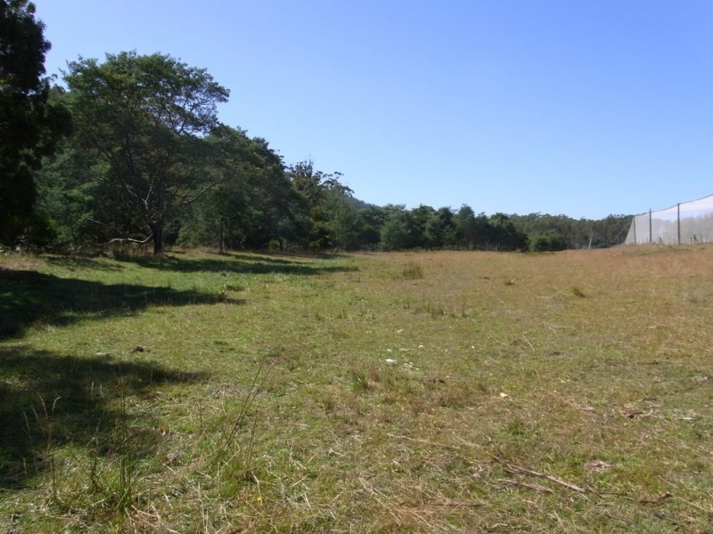 501 Upper Scamander Rd, Scamander TAS 7215