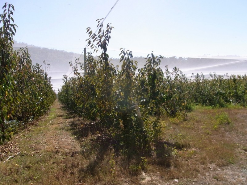 501 Upper Scamander Rd, Scamander TAS 7215